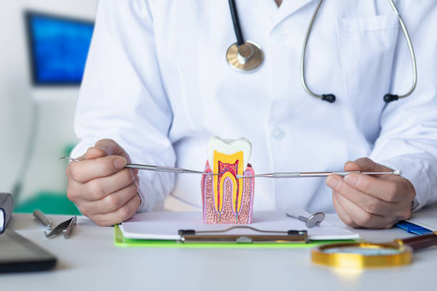 Best Emergency Dental Care for Broken or Chipped Teeth in Central Falls, RI